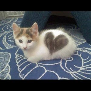 Meet your Posher, Jen